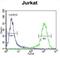 Adenylate Cyclase 2 antibody, abx026205, Abbexa, Flow Cytometry image 