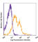 Tumor necrosis factor receptor superfamily member 18 antibody, 126311, BioLegend, Flow Cytometry image 