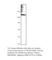 TEK Receptor Tyrosine Kinase antibody, TIE2-201AP, FabGennix, Western Blot image 