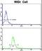 RNA polymerase II subunit A C-terminal domain phosphatase antibody, LS-C167121, Lifespan Biosciences, Flow Cytometry image 