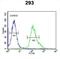 Fibroblast Growth Factor Binding Protein 3 antibody, abx032573, Abbexa, Flow Cytometry image 