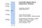 Poly(RC) Binding Protein 1 antibody, NBP1-80454, Novus Biologicals, Western Blot image 