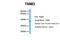 Tenomodulin antibody, NBP1-70722, Novus Biologicals, Western Blot image 