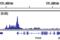 Chromodomain Helicase DNA Binding Protein 4 antibody, 12011S, Cell Signaling Technology, Chromatin Immunoprecipitation image 