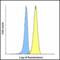 T Cell Immunoreceptor With Ig And ITIM Domains antibody, LS-C669100, Lifespan Biosciences, Flow Cytometry image 