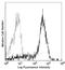 CD83 Molecule antibody, LS-C40813, Lifespan Biosciences, Flow Cytometry image 