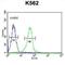 Potassium Voltage-Gated Channel Subfamily J Member 6 antibody, abx032638, Abbexa, Flow Cytometry image 