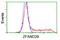 Zinc Finger AN1-Type Containing 2B antibody, TA502440, Origene, Flow Cytometry image 