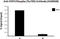 STAT3 Phospho (Tyr705) antibody, 690406, BioLegend, Chromatin Immunoprecipitation image 