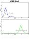 Eukaryotic Translation Initiation Factor 4E Binding Protein 1 antibody, orb304748, Biorbyt, Flow Cytometry image 