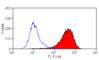 Integrin Subunit Alpha 6 antibody, MCA2034G, Bio-Rad (formerly AbD Serotec) , Immunohistochemistry frozen image 