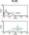 Eukaryotic Translation Initiation Factor 4E antibody, GTX82525, GeneTex, Flow Cytometry image 