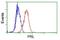 Prolactin antibody, NBP2-02142, Novus Biologicals, Flow Cytometry image 