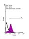 POU Class 5 Homeobox 1 antibody, PA5-27194, Invitrogen Antibodies, Flow Cytometry image 