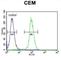 Lipase C, Hepatic Type antibody, abx026174, Abbexa, Western Blot image 