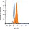 Milk Fat Globule-EGF Factor 8 Protein antibody, MAB27671, R&D Systems, Western Blot image 