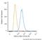 Chromodomain Helicase DNA Binding Protein 4 antibody, NBP2-50163PE, Novus Biologicals, Flow Cytometry image 