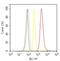 Forkhead Box L2 antibody, PA1-802, Invitrogen Antibodies, Flow Cytometry image 