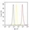 Actin Alpha 1, Skeletal Muscle antibody, MA5-12542, Invitrogen Antibodies, Flow Cytometry image 