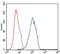 Integrin Linked Kinase antibody, NBP2-37448, Novus Biologicals, Flow Cytometry image 