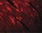 Transmembrane Protein 184C antibody, LS-C108696, Lifespan Biosciences, Immunofluorescence image 