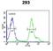 RNA Binding Motif Protein 24 antibody, LS-C162493, Lifespan Biosciences, Flow Cytometry image 