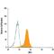 Interferon Regulatory Factor 3 antibody, IC4019G, R&D Systems, Flow Cytometry image 