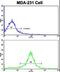 Actinin Alpha 1 antibody, LS-C156004, Lifespan Biosciences, Flow Cytometry image 