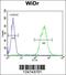 TOX High Mobility Group Box Family Member 3 antibody, 61-675, ProSci, Immunofluorescence image 