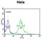 Importin 11 antibody, abx034097, Abbexa, Flow Cytometry image 