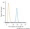 CD11b antibody, NB600-1327R, Novus Biologicals, Flow Cytometry image 