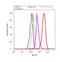 C-C Motif Chemokine Receptor 5 (Gene/Pseudogene) antibody, 702233, Invitrogen Antibodies, Flow Cytometry image 