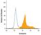 Granulysin antibody, BAF3138, R&D Systems, Flow Cytometry image 