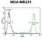 Potassium Sodium-Activated Channel Subfamily T Member 2 antibody, abx025683, Abbexa, Flow Cytometry image 