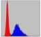 Troponin I2, Fast Skeletal Type antibody, GTX60509, GeneTex, Flow Cytometry image 