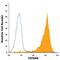 Tetraspanin 8 antibody, FAB4734P, R&D Systems, Flow Cytometry image 