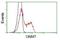 Glycine N-Methyltransferase antibody, NBP2-02634, Novus Biologicals, Flow Cytometry image 