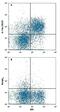 Interleukin 7 Receptor antibody, FAB47742A, R&D Systems, Flow Cytometry image 