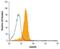 Glutamate Metabotropic Receptor 5 antibody, MA5-24185, Invitrogen Antibodies, Flow Cytometry image 