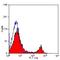 CD8b Molecule antibody, MA1-82375, Invitrogen Antibodies, Flow Cytometry image 