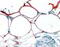 Adipocyte protein S3-12 antibody, MBS420943, MyBioSource, Immunohistochemistry paraffin image 