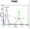 Kell Metallo-Endopeptidase (Kell Blood Group) antibody, LS-C165471, Lifespan Biosciences, Flow Cytometry image 