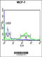 ETS Proto-Oncogene 2, Transcription Factor antibody, 64-143, ProSci, Flow Cytometry image 