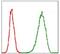 Minichromosome Maintenance Complex Component 2 antibody, MA5-15923, Invitrogen Antibodies, Flow Cytometry image 