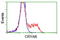 Crystallin Alpha B antibody, LS-B12857, Lifespan Biosciences, Flow Cytometry image 