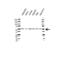 Heterogeneous Nuclear Ribonucleoprotein H1 antibody, VPA00311, Bio-Rad (formerly AbD Serotec) , Western Blot image 