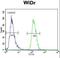 Asparaginyl-TRNA Synthetase antibody, LS-C164748, Lifespan Biosciences, Flow Cytometry image 