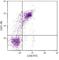V-Set And Immunoglobulin Domain Containing 1 antibody, NBP1-28357, Novus Biologicals, Flow Cytometry image 