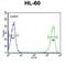 Killer Cell Immunoglobulin Like Receptor, Two Ig Domains And Short Cytoplasmic Tail 3 antibody, abx032609, Abbexa, Flow Cytometry image 