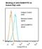 Integrin Subunit Alpha 6 antibody, LS-C134739, Lifespan Biosciences, Flow Cytometry image 